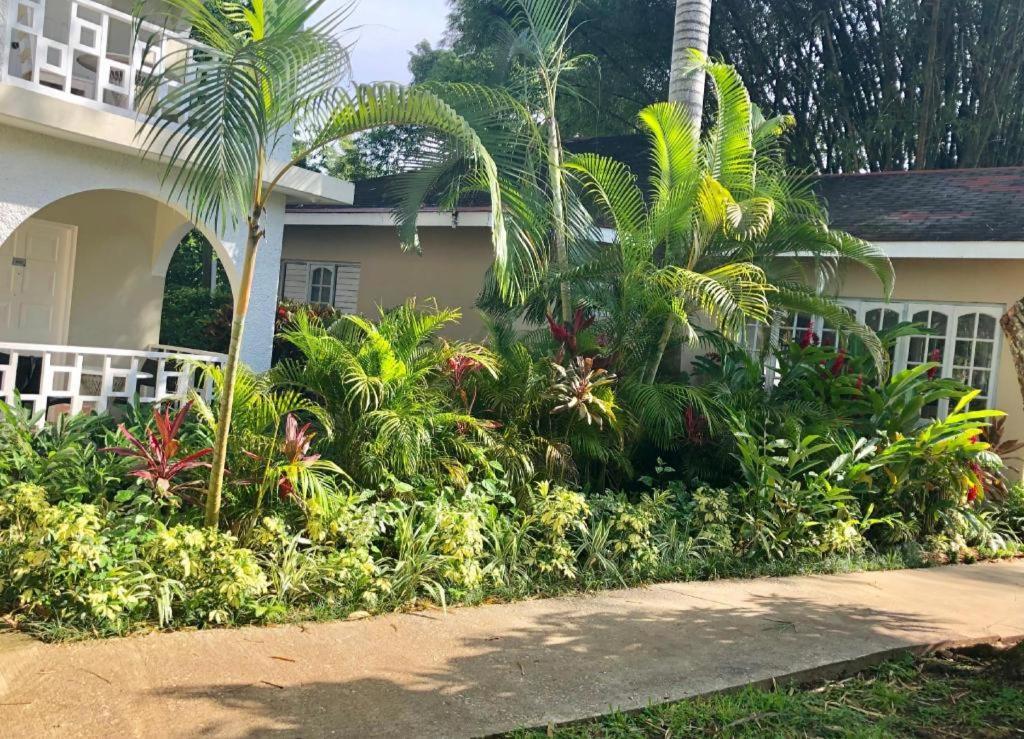 Hotel Gold Nugget Negril