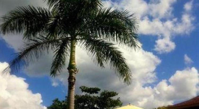 Gold Nugget 3* Negril