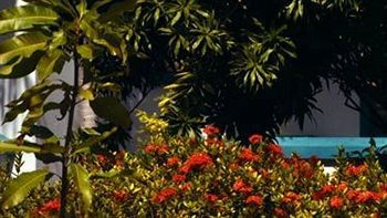 Carib 2* Negril