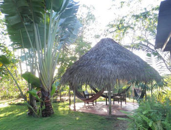 Yoga Centre *