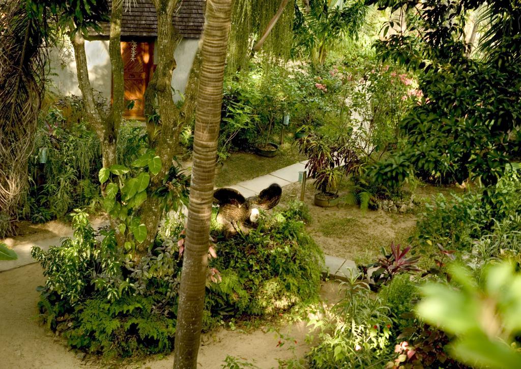 Hotel Whistling Bird 3*