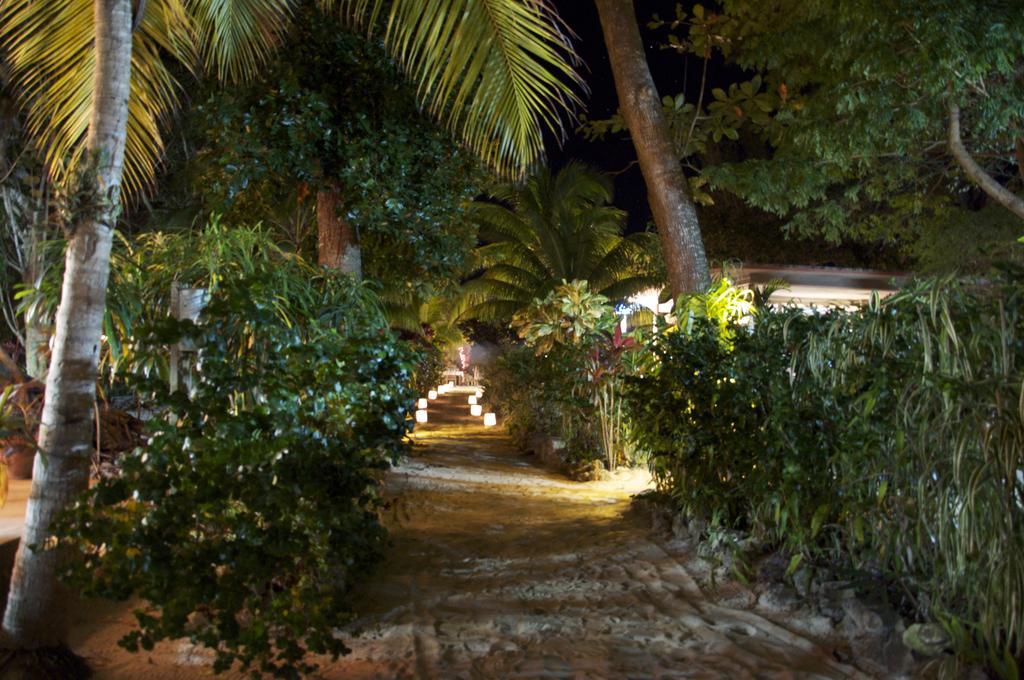 Whistling Bird Negril