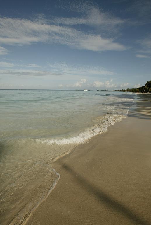 Whistling Bird 3* Negril