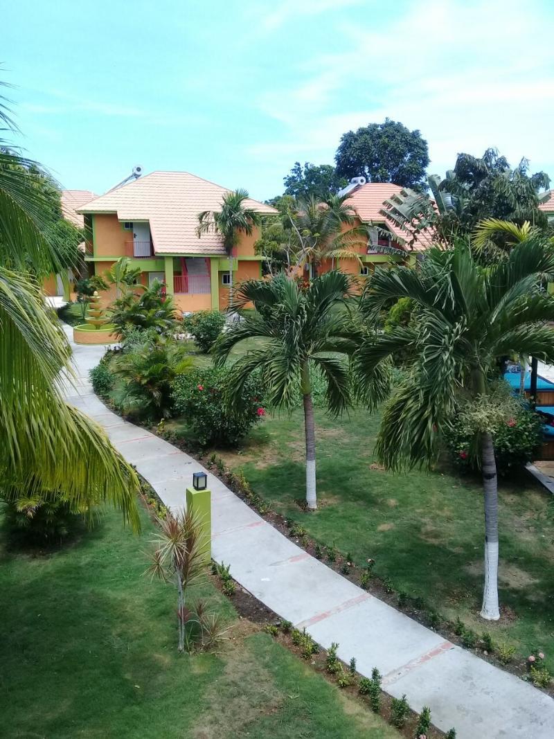 Oasis