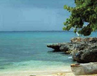 Heartbeat 2* Negril