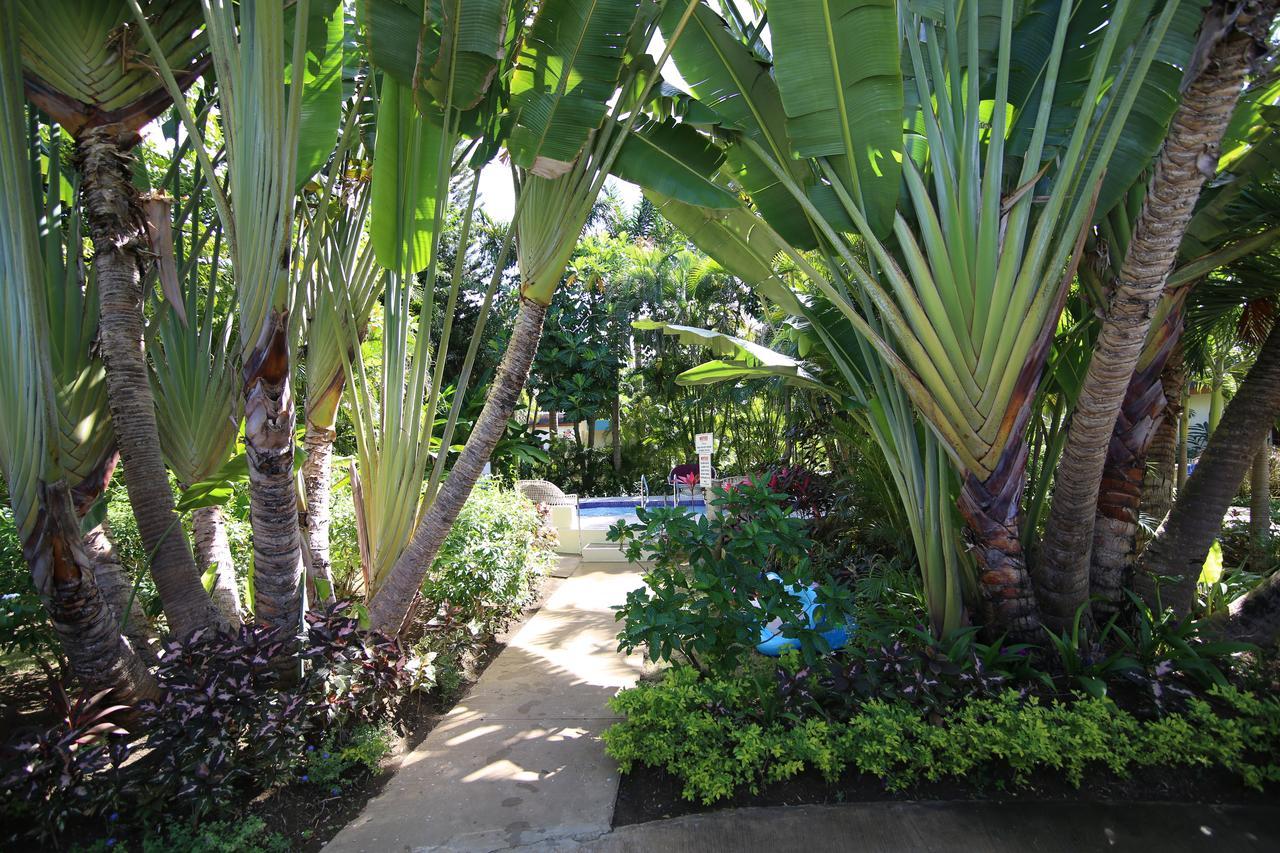Coco La Palm Hotel 3*