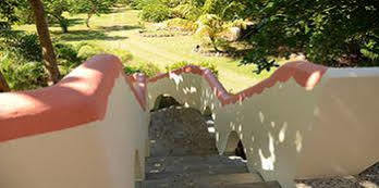 Hotel Coral Cove & Negril