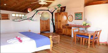 Coral Cove & 3*