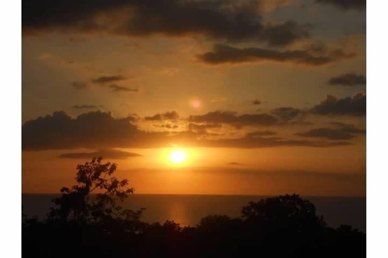 Bed & Breakfast Jannetta's @whimhill Negril