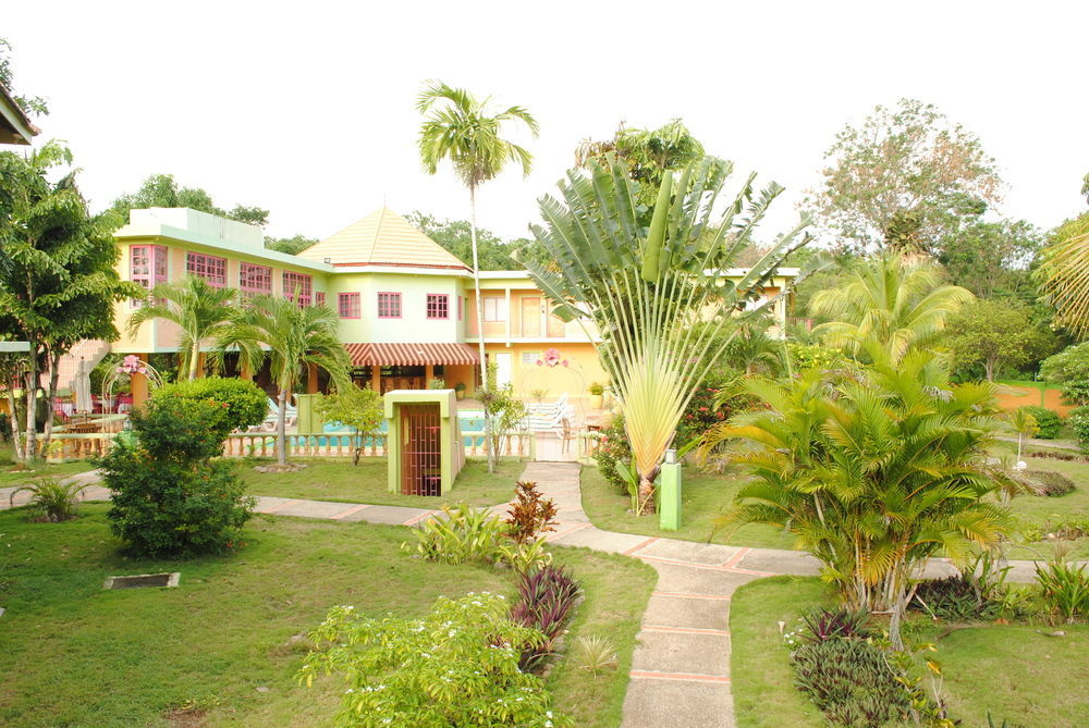 Hotel Oasis 2*