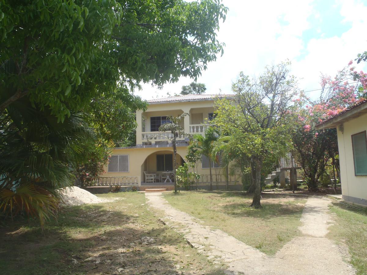 New Moon Guest house