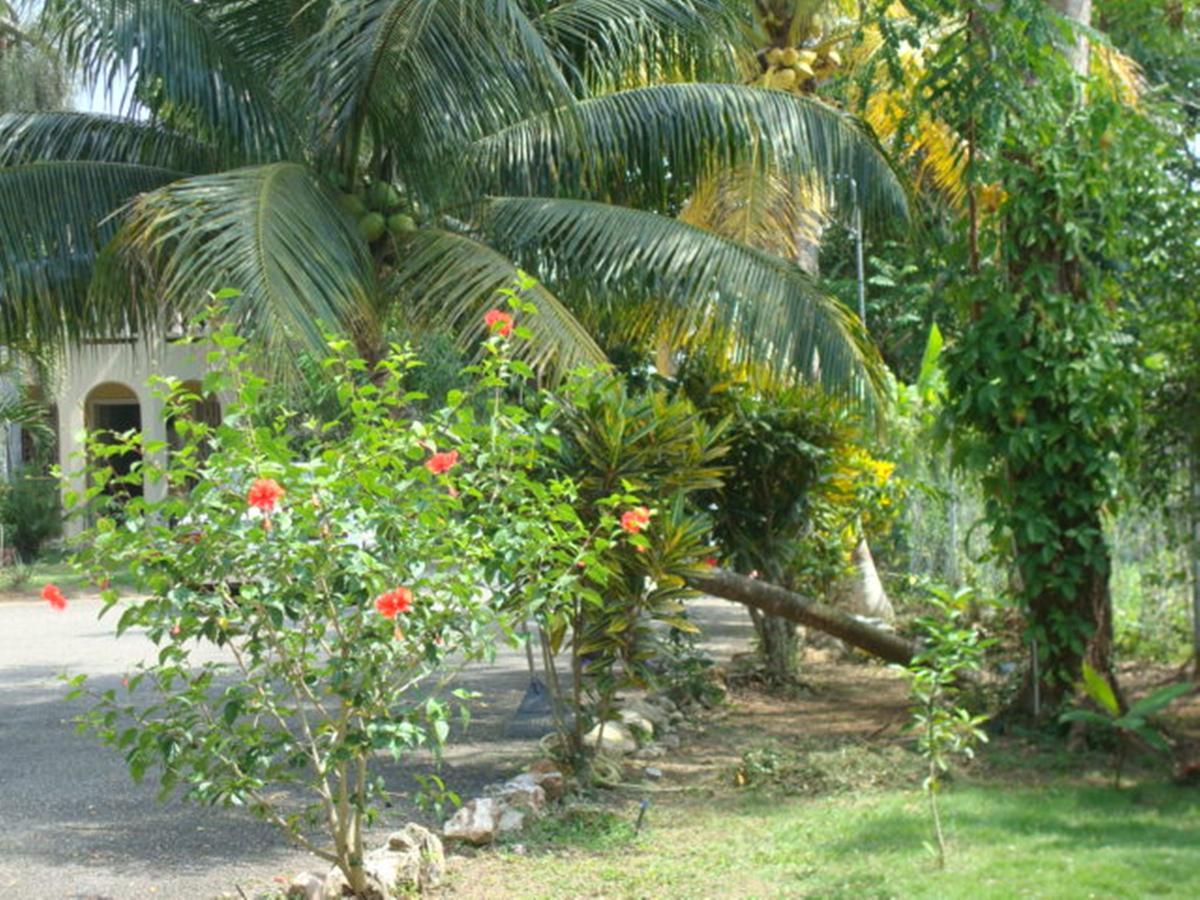 Ocean Wave Villa, Aparthotel
