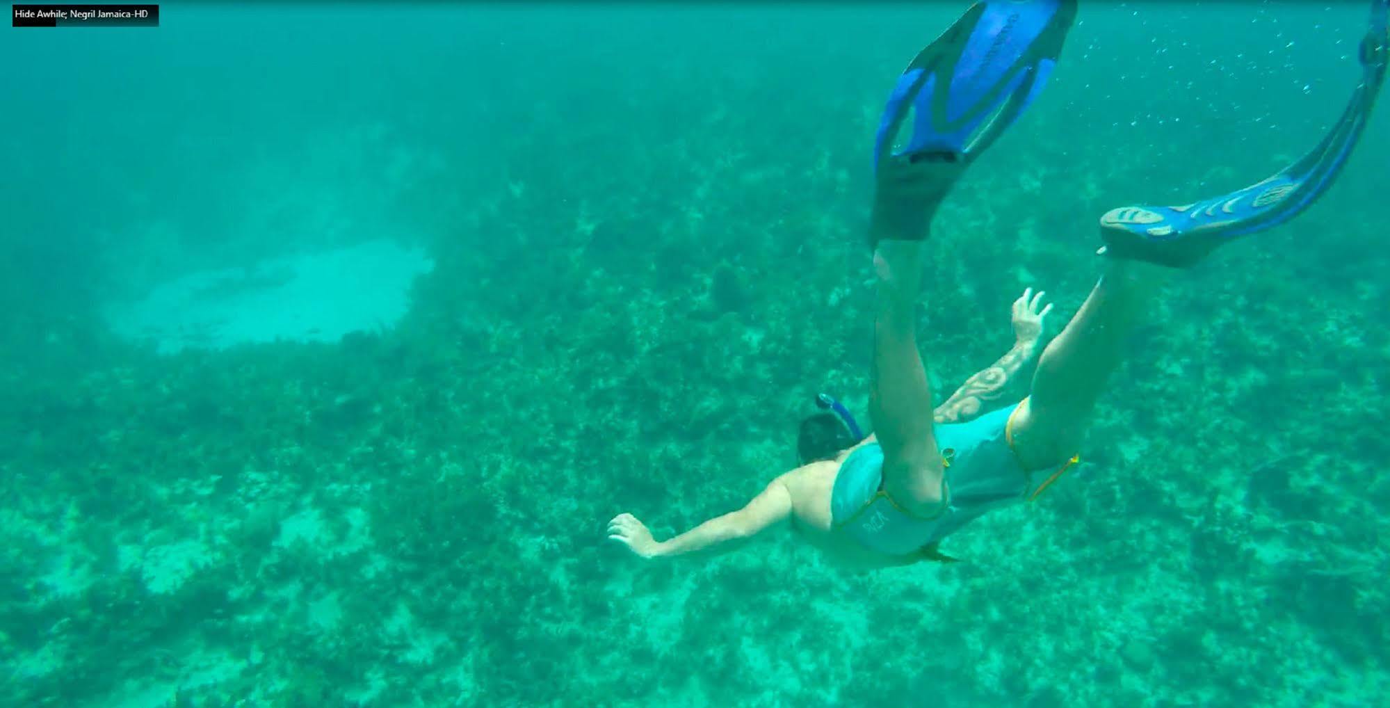 Idle Awhile Cliffs Negril