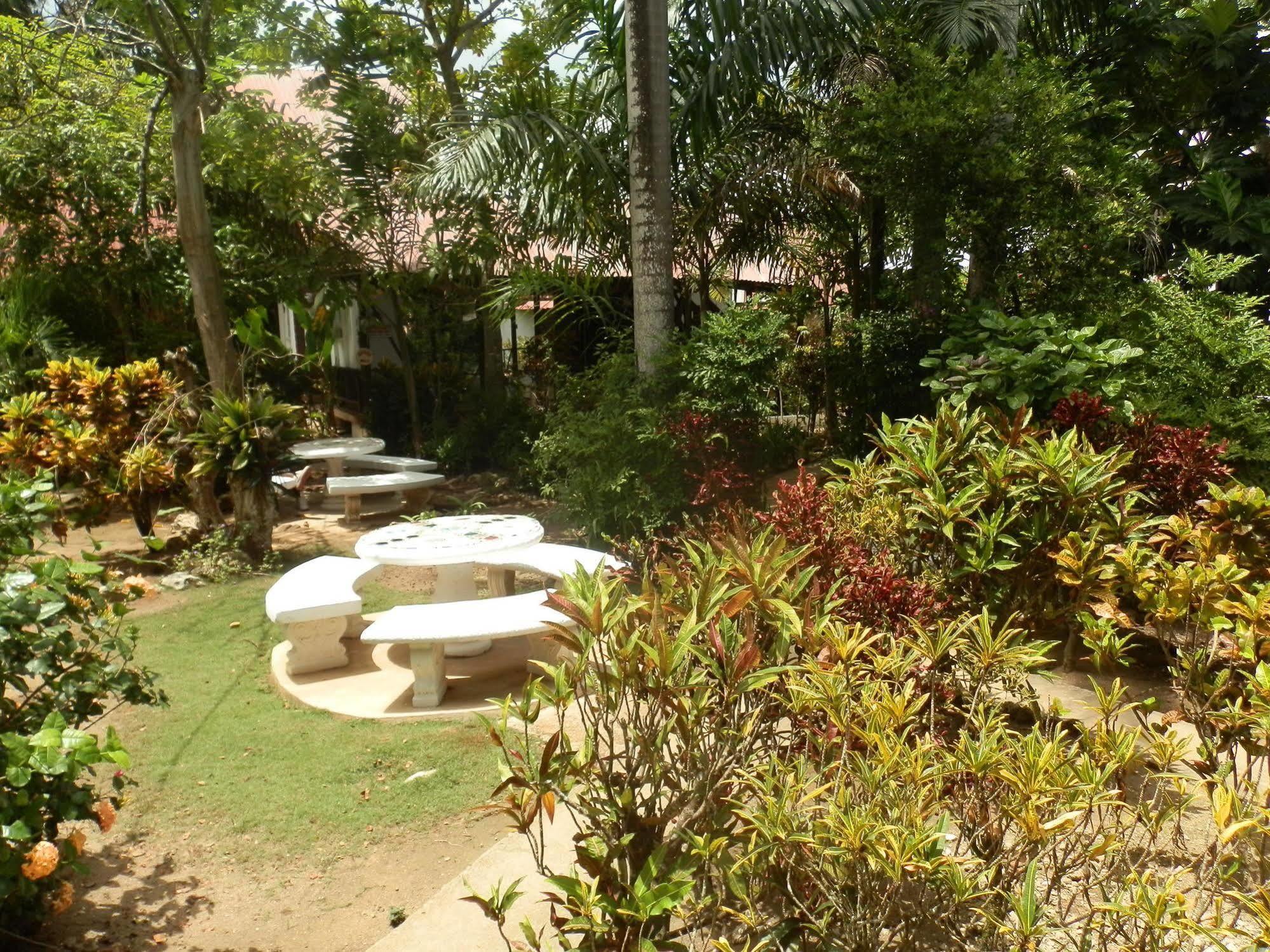 Yoga Centre * Negril