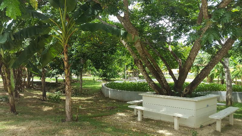 Oasis Hotel
