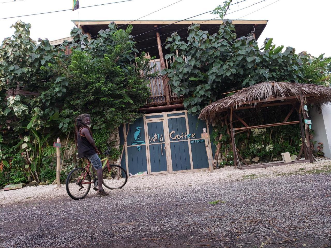 Wild Coffee Retreat Hotel Negril