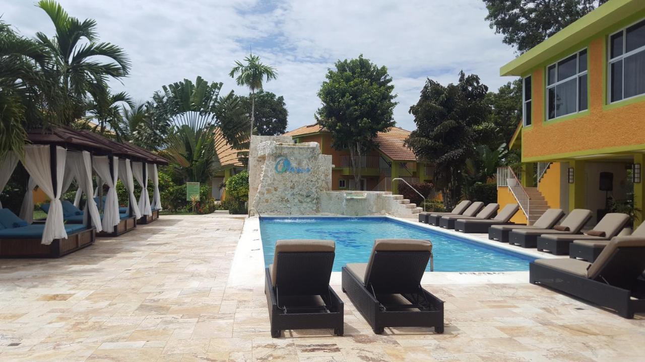 Oasis 2*