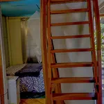 My Little Cabin In Negril, Cabin