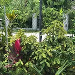 Negril Beachside