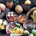 Rastafari Herbal Gardens