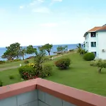 Mango Beach Studio
