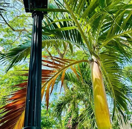 Studio Apt With Fully Equipped Kitchen In Negril
