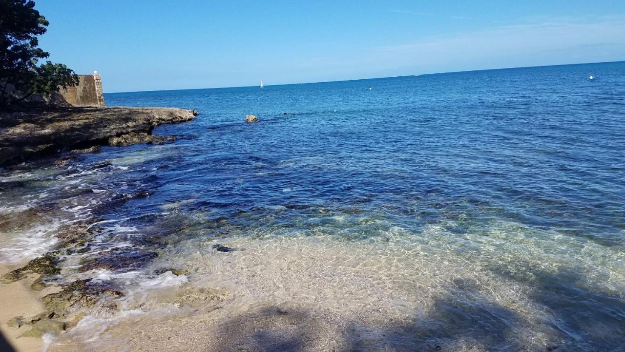 Villa Llantrissant Beachcliff Negril