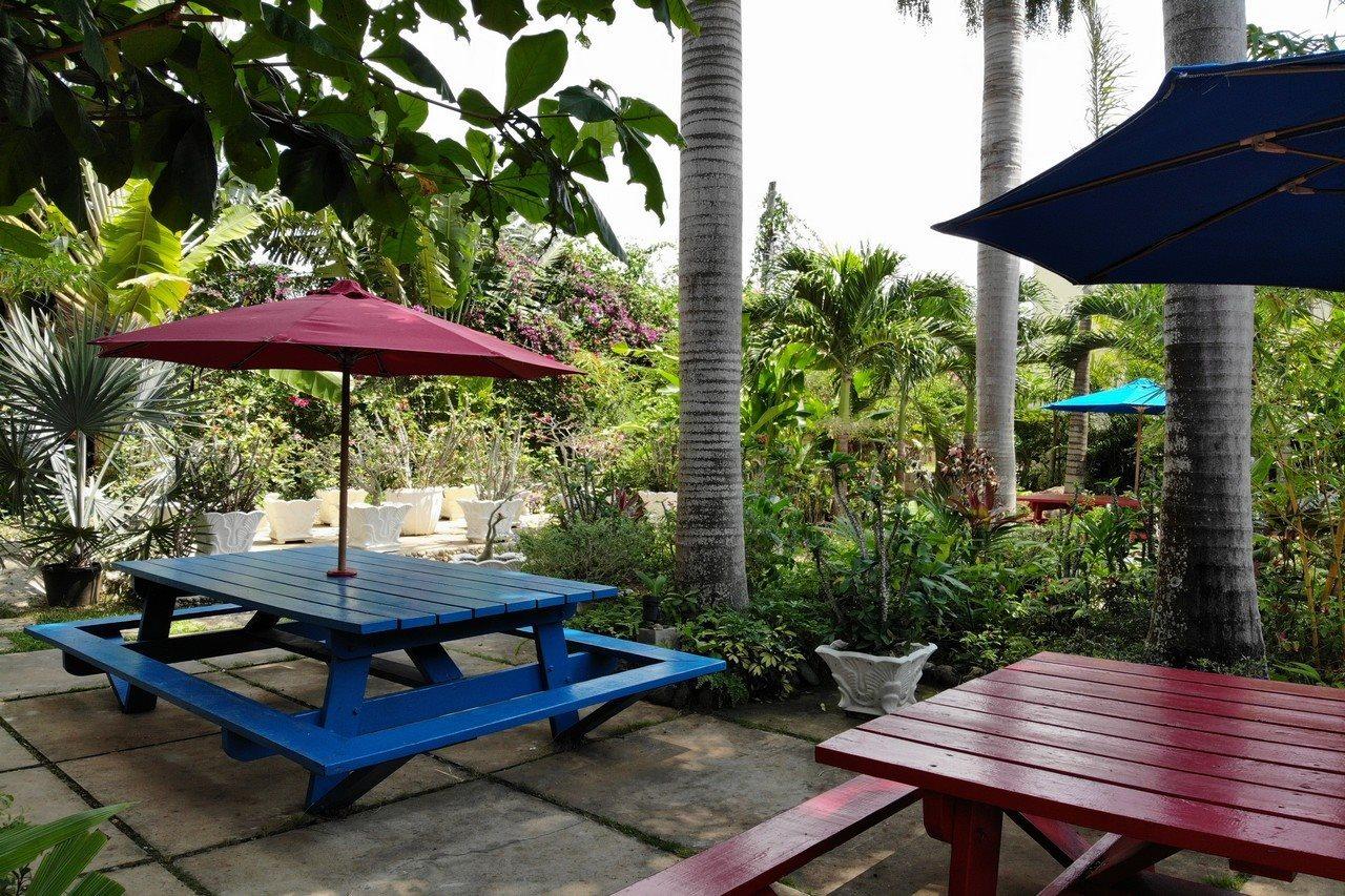 Palms Hotel