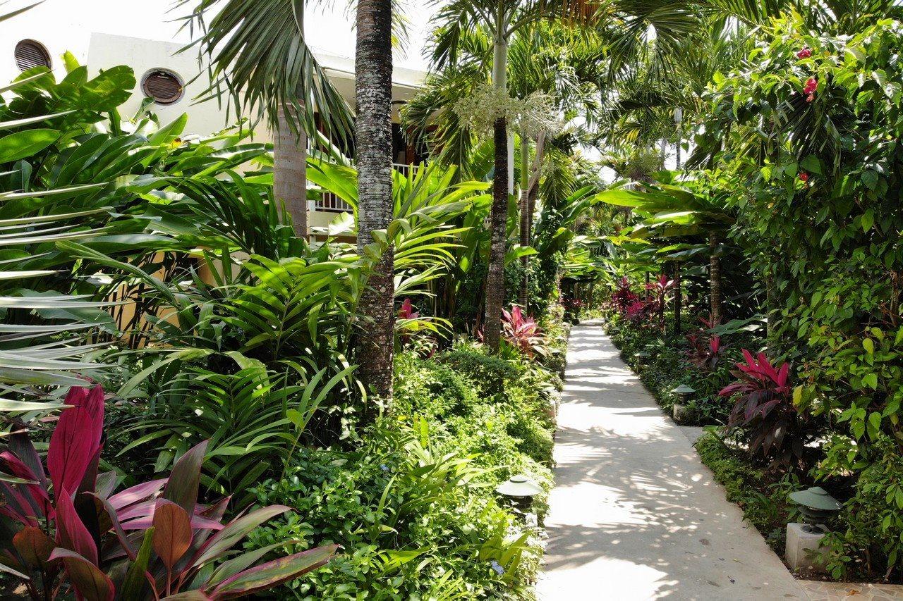 Palms Hotel 3*