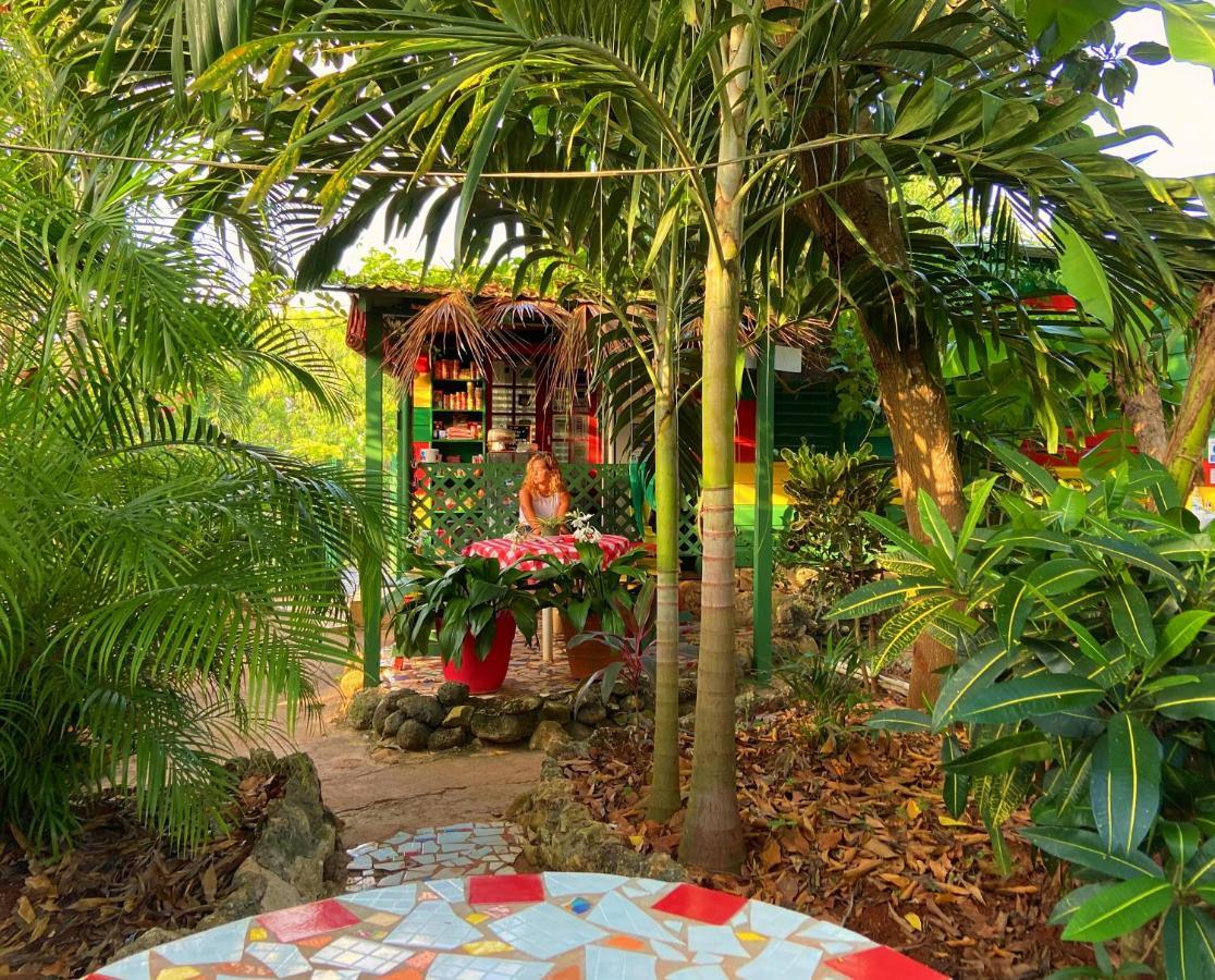 Hostel Judy House And Negril