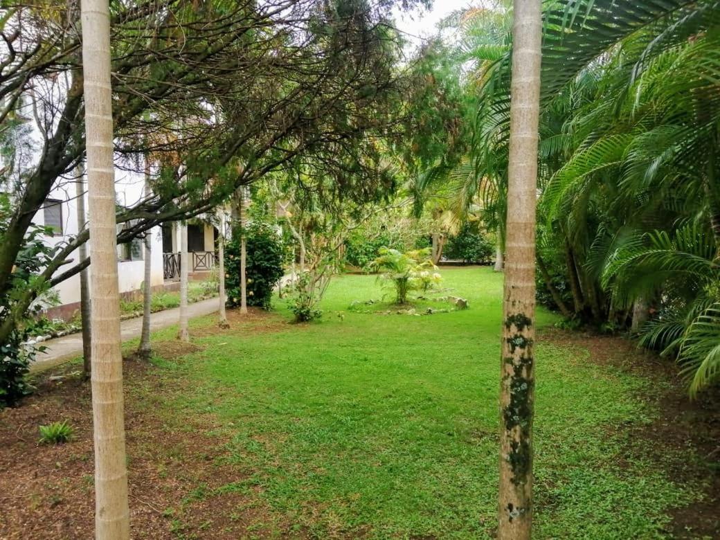 Ambitious Resort 2* Negril