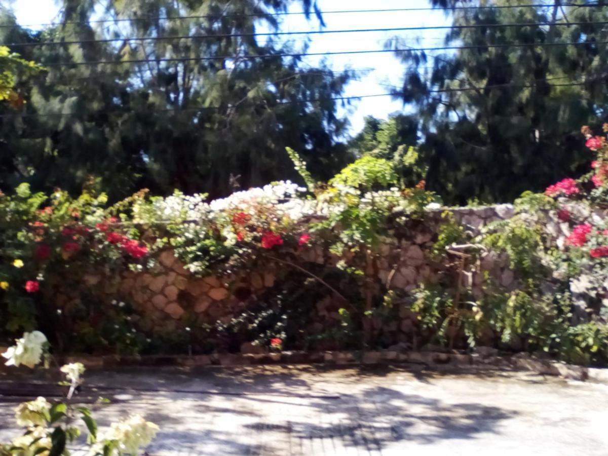 Gasthof Stoney Gate Negril