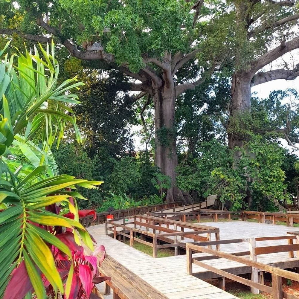 Coral Seas Garden 3*