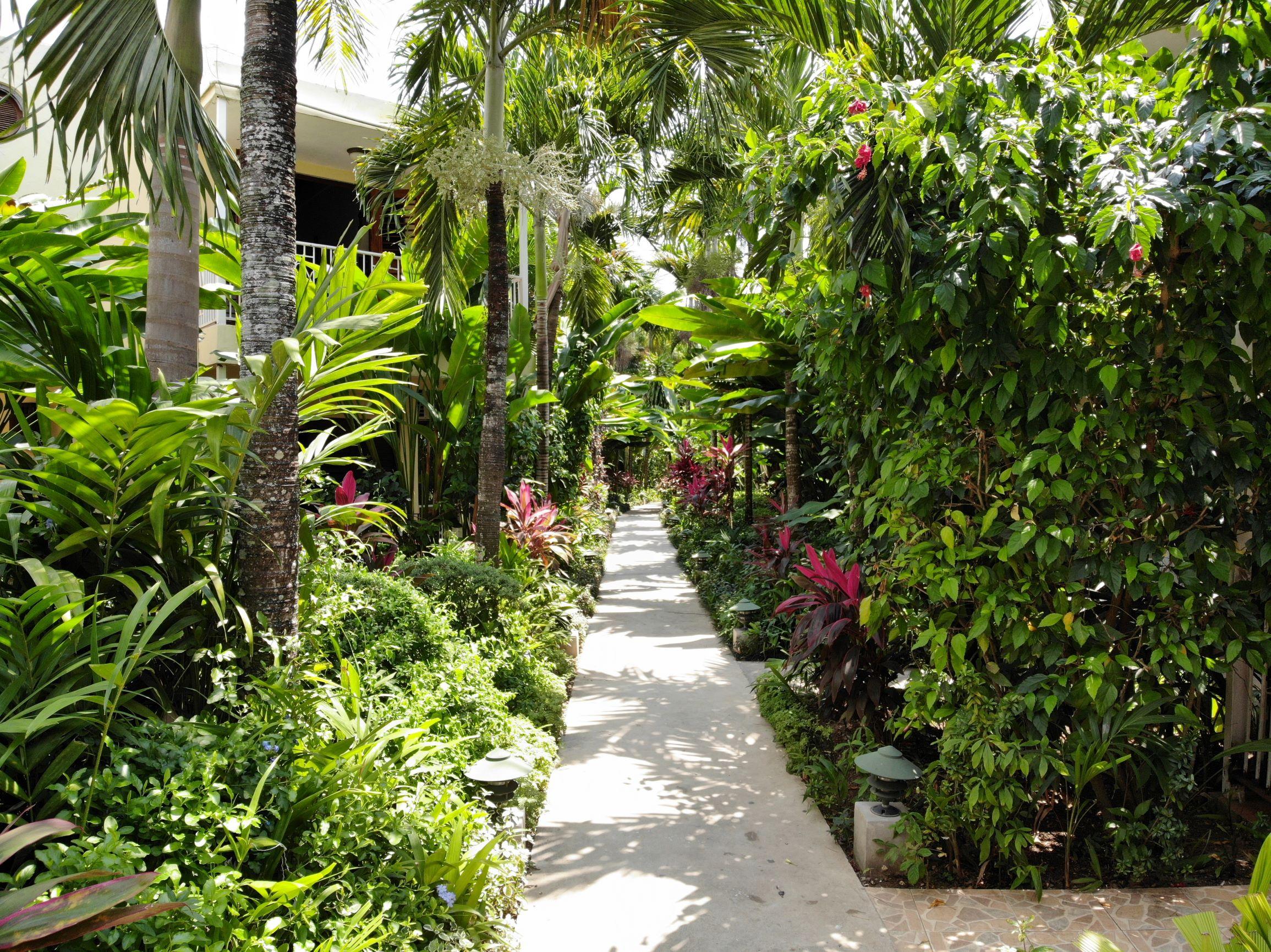 Palms 3* Negril