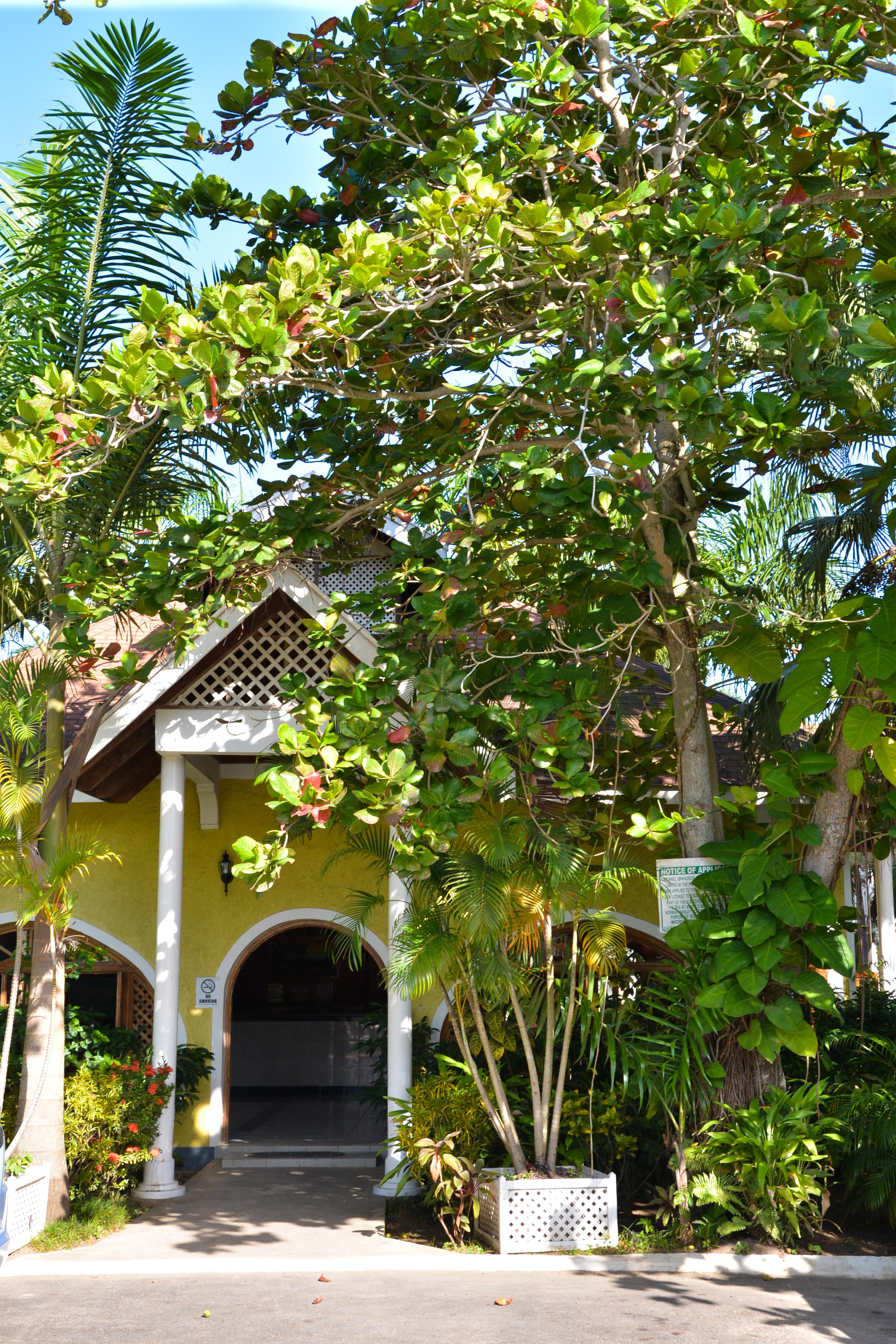 Merrils Ii 3* Negril