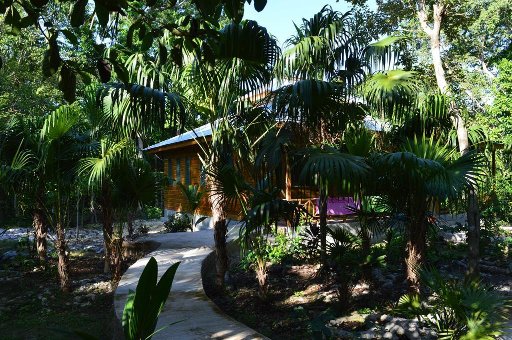 Hotel Lighthouse 2 Negril