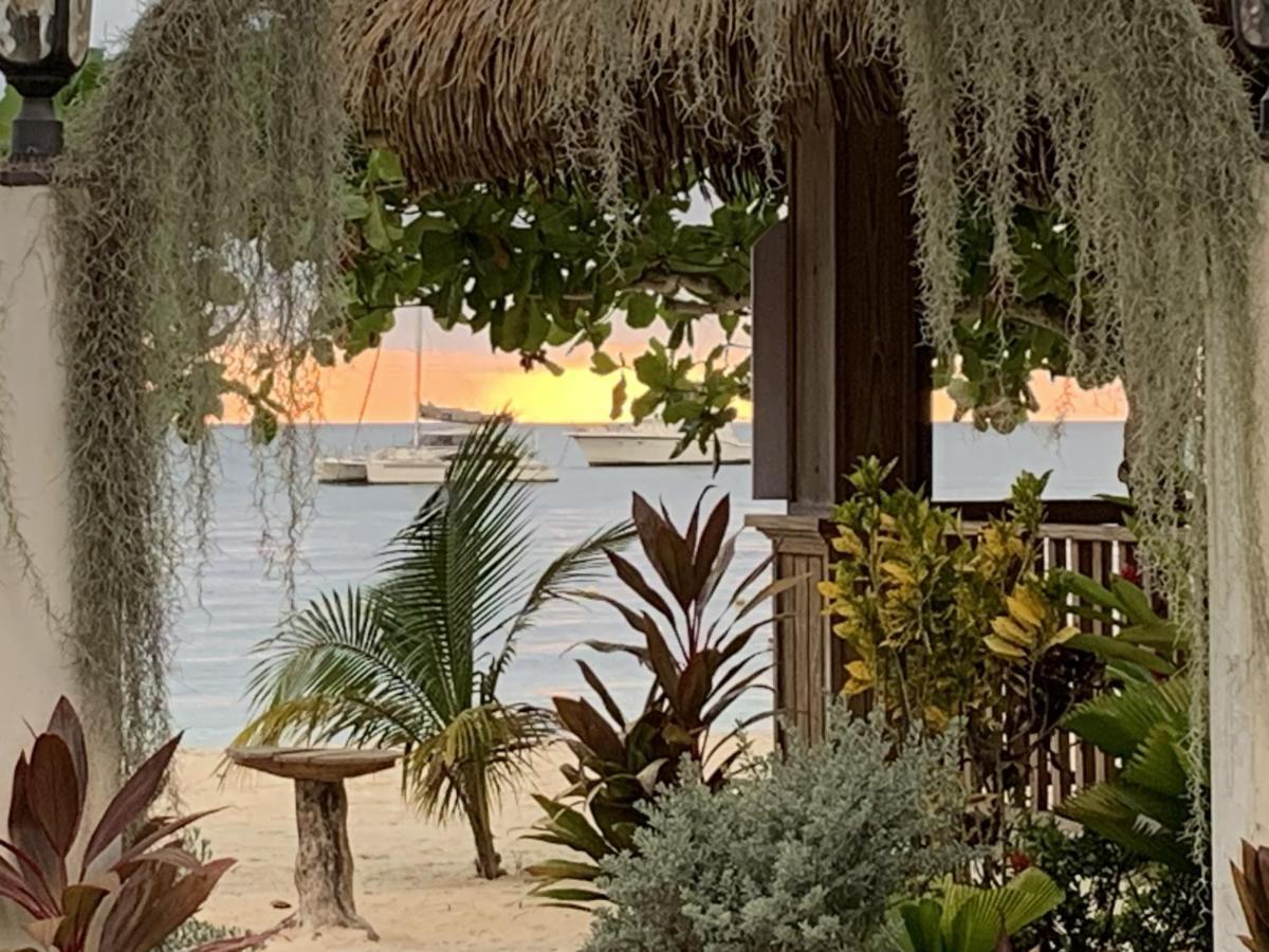Villa Comfy In Jamaica -enjoy 7 Miles Of White Beach!