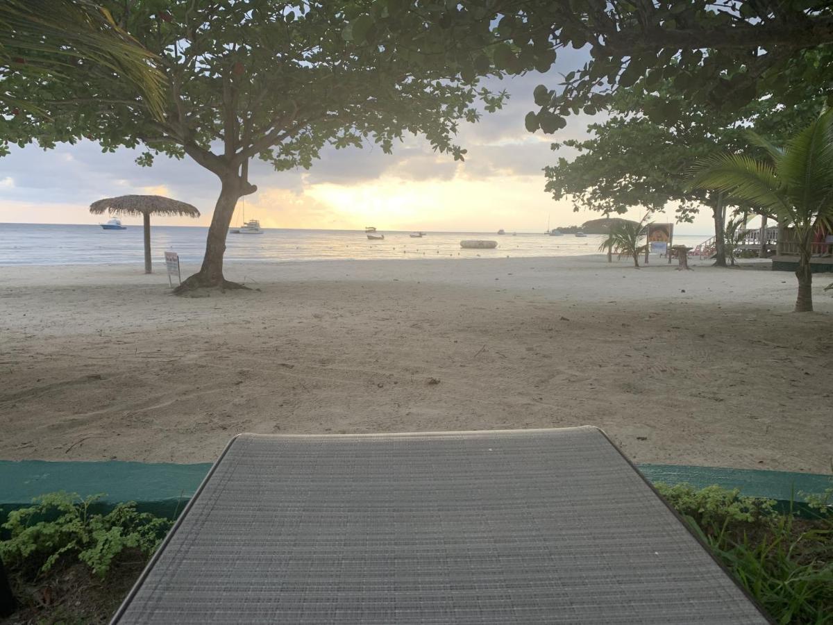 King At Oceanview In Jamaica - Enjoy 7 Miles Of White Beach! *