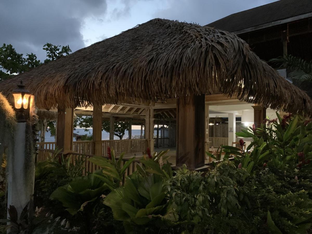 Villa Comfy In Jamaica -enjoy 7 Miles Of White Beach! *