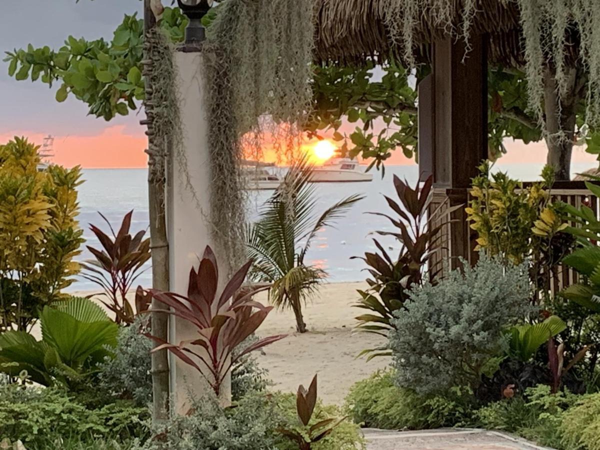 Villa King At Oceanview In Jamaica - Enjoy 7 Miles Of White Beach! *