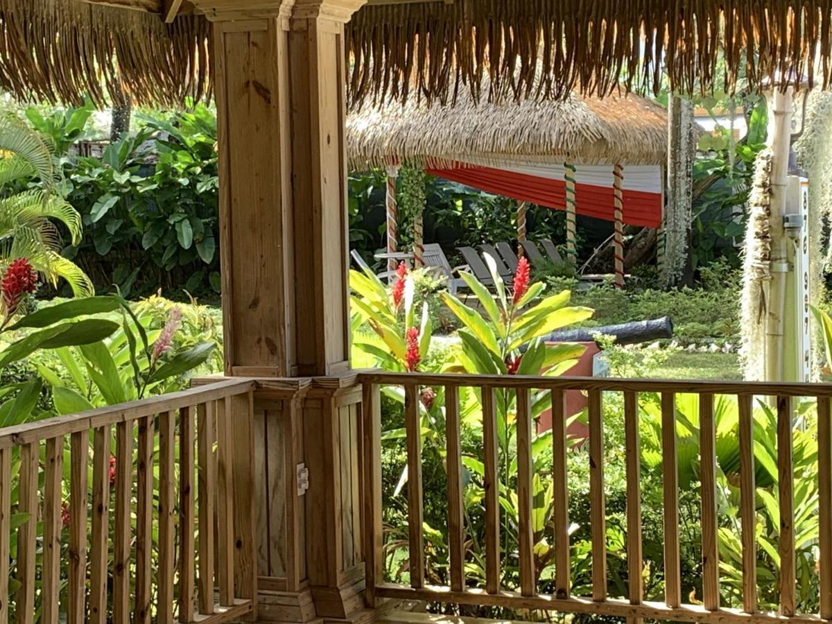 King At Oceanview In Jamaica - Enjoy 7 Miles Of White Beach! * Negril
