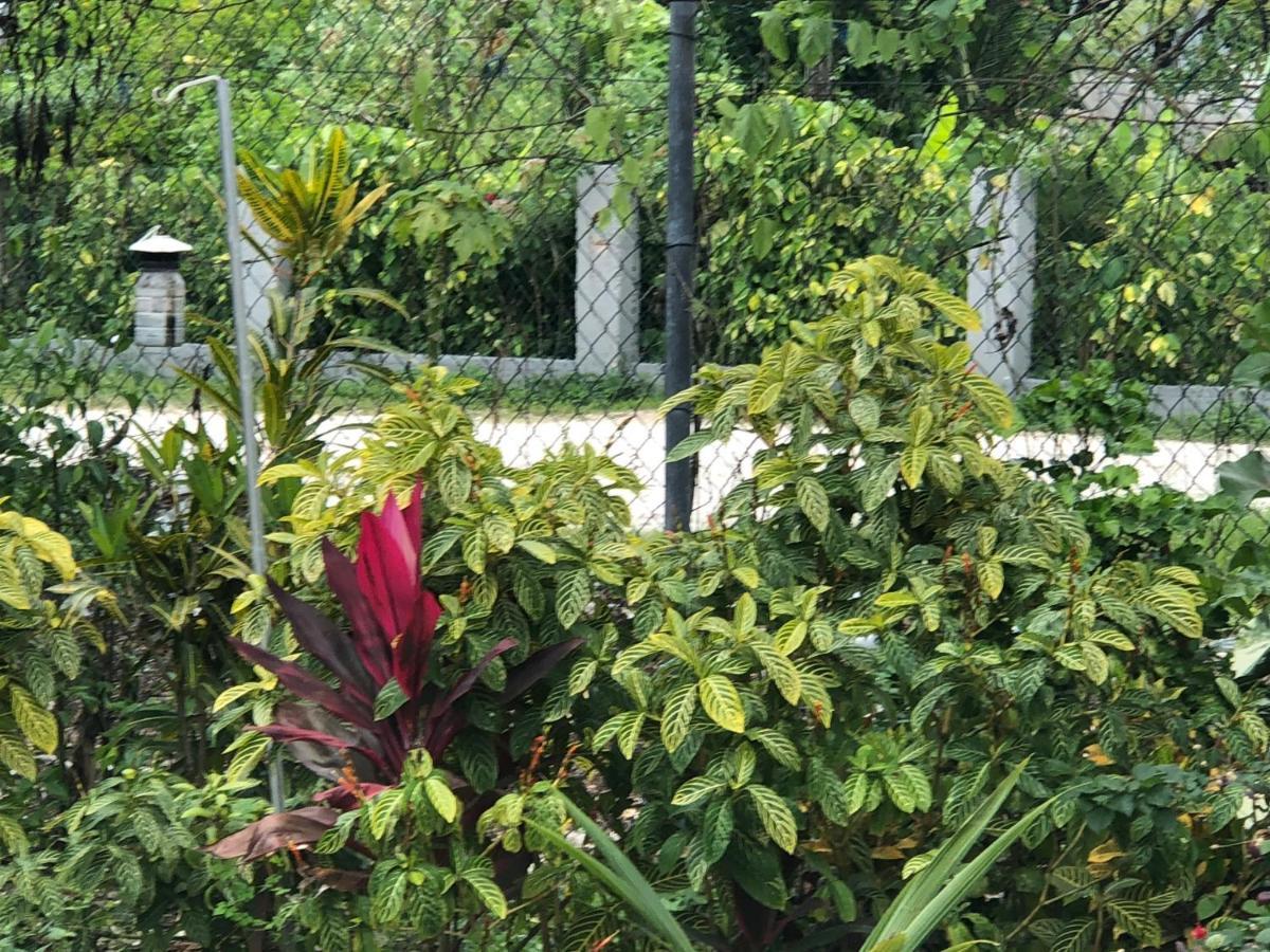 Guest house Beachside Negril