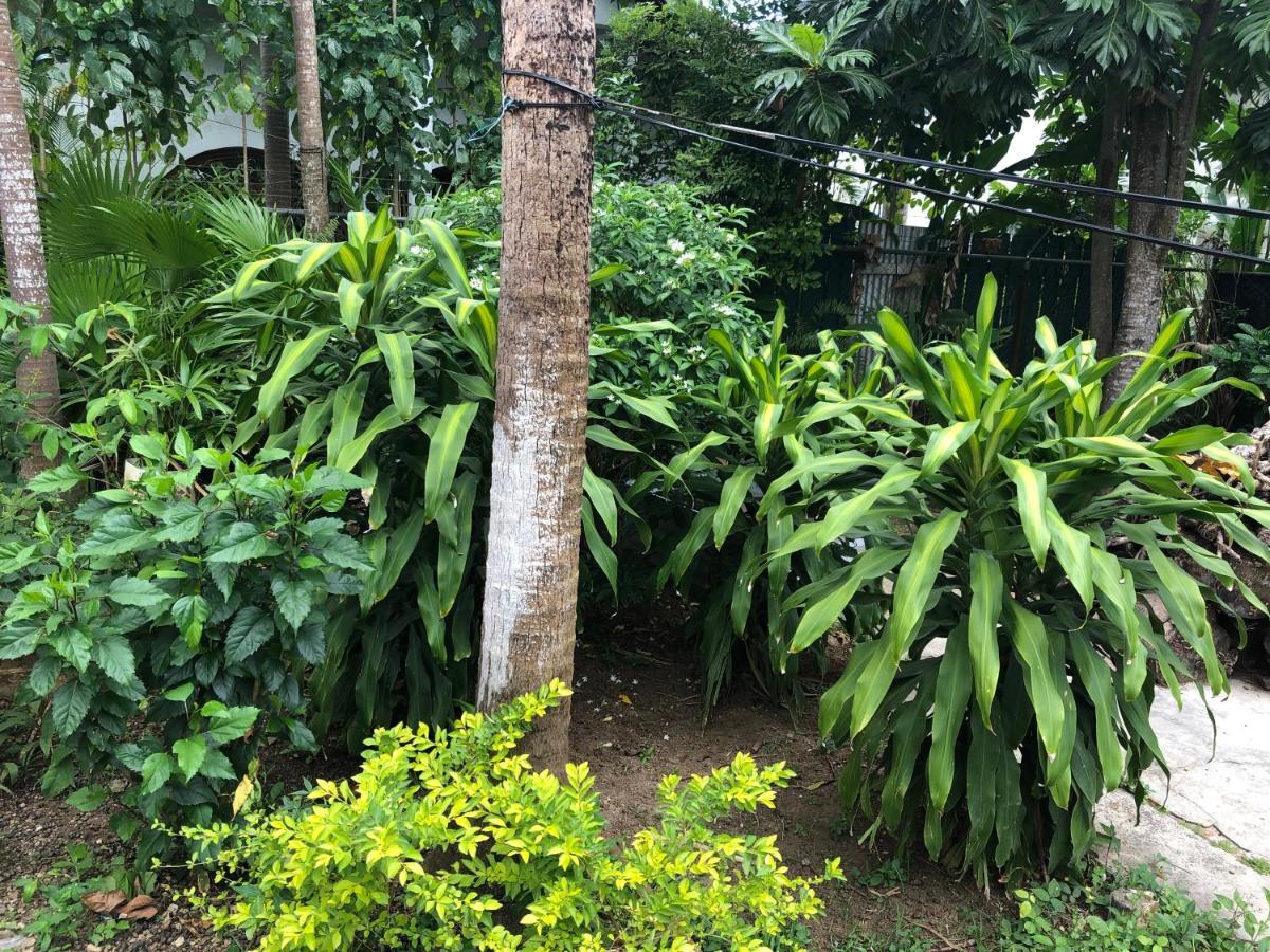 Guest house Beachside
