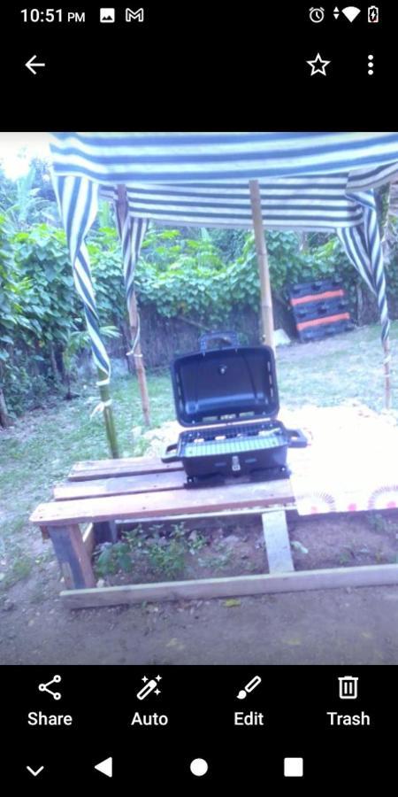 My Little In Negril, *