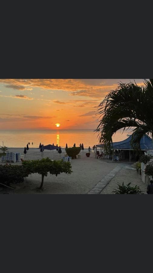 Seacret - Cozy Jamaican Retreat Apts * Negril