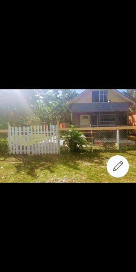 Holiday home My Little In Negril, *