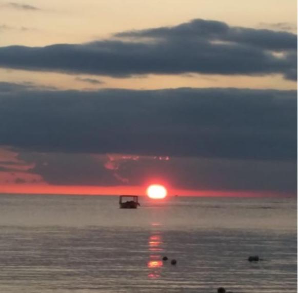 Seacret - Cozy Jamaican Retreat Apts Negril