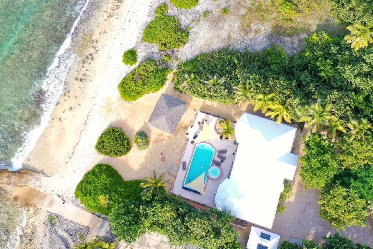 The Sov * Negril