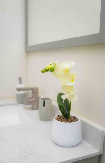 Lemonade Holiday home