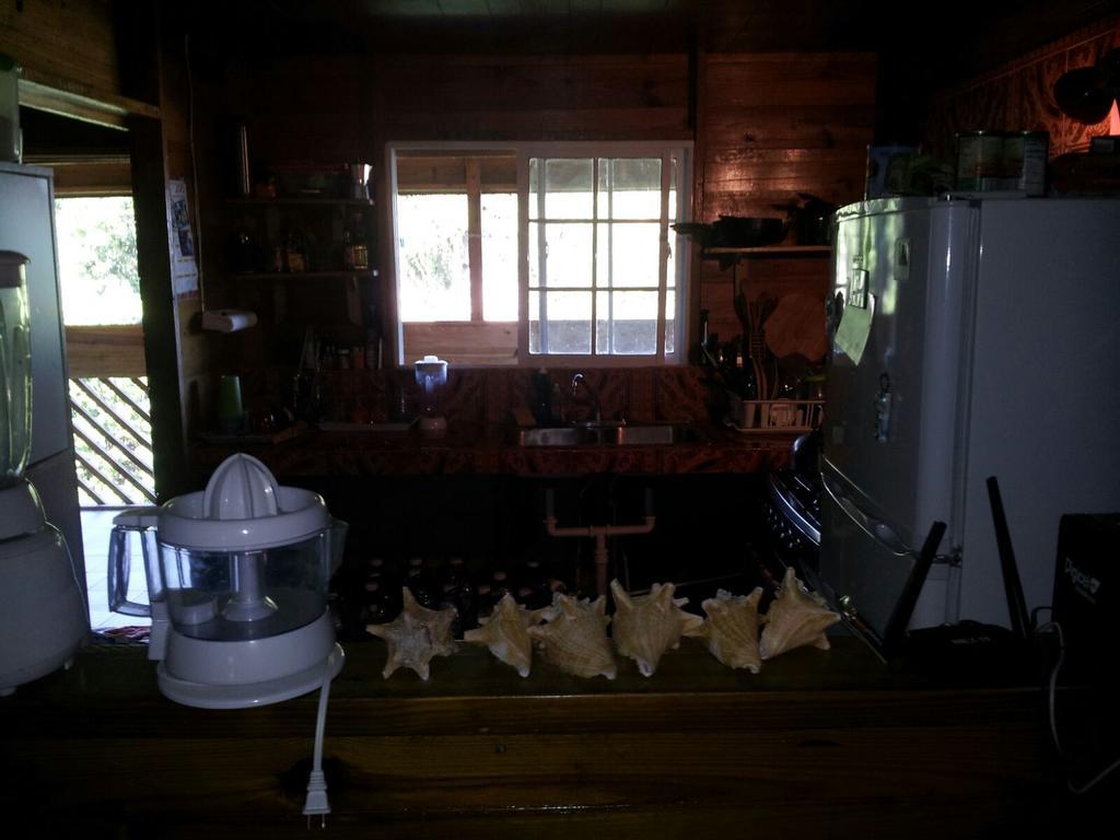 Ocean View Chalet Homestay Negril